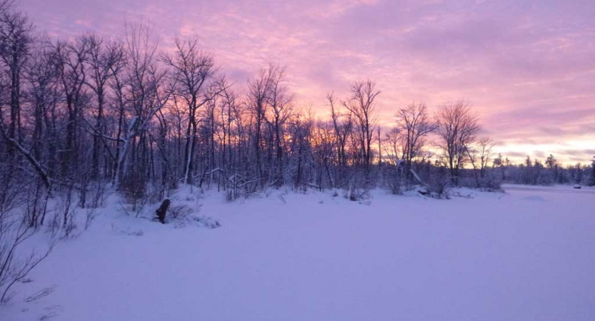 A snowy landscape appears purple under a pink and purple sky